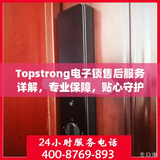 Topstrong电子锁售后服务详解，专业保障，贴心守护您的安全之选