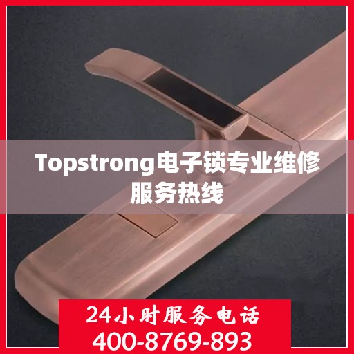 Topstrong电子锁专业维修服务热线