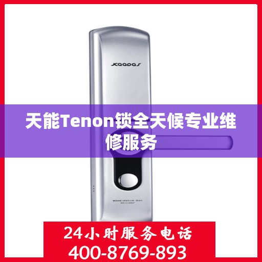 天能Tenon锁全天候专业维修服务