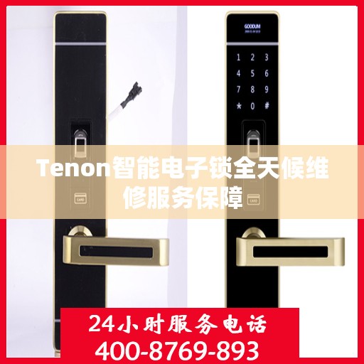 Tenon智能电子锁全天候维修服务保障