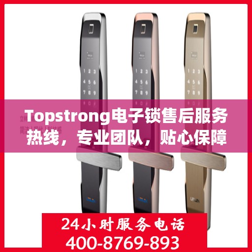 Topstrong电子锁售后服务热线，专业团队，贴心保障您的安全需求