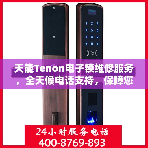天能Tenon电子锁维修服务，全天候电话支持，保障您的安全无忧